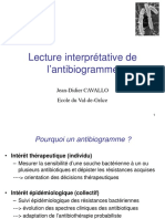 2015 Duciv Lyon Cavallo Lecture Interpretative