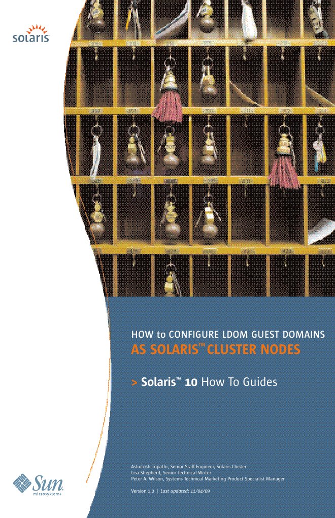 Cluster Ldoms Final Hi Res | PDF