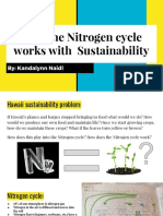 maui sustainability- nitrogen cycle presentation