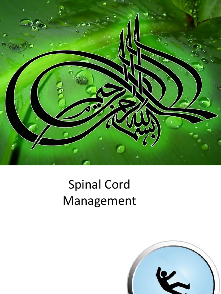 SPINAL CORD INJURY INTRODUCTION intelligence overview