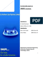 sngpld-131005144232-phpapp01.pdf