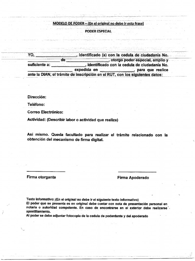 Carta de Solicitud Rut Dian | PDF