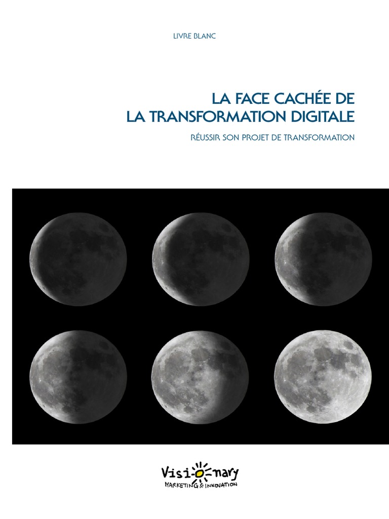 Transformation Digitale | PDF | Innovation | Commercialisation