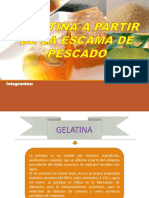 Gelatina-escama de Pescado- (1)