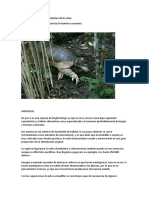 Animales en Peligro de Extinsion de La Selva