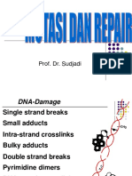 4.MUTASI2006ppt