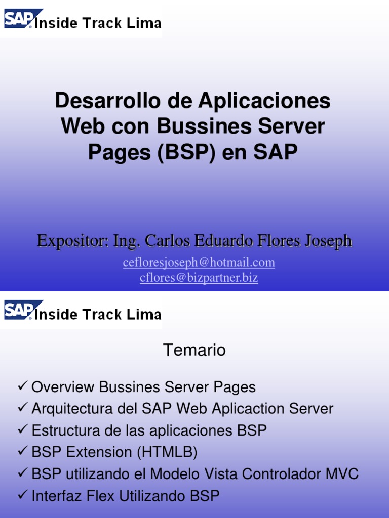 Desarrollo de Aplicaciones BSP en SAP | PDF | Modelo – Vista ...