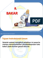 010 Luka Bakar.pdf