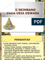 Gizi Seimbang Dewasa