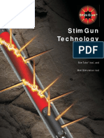 Stimgun Technology