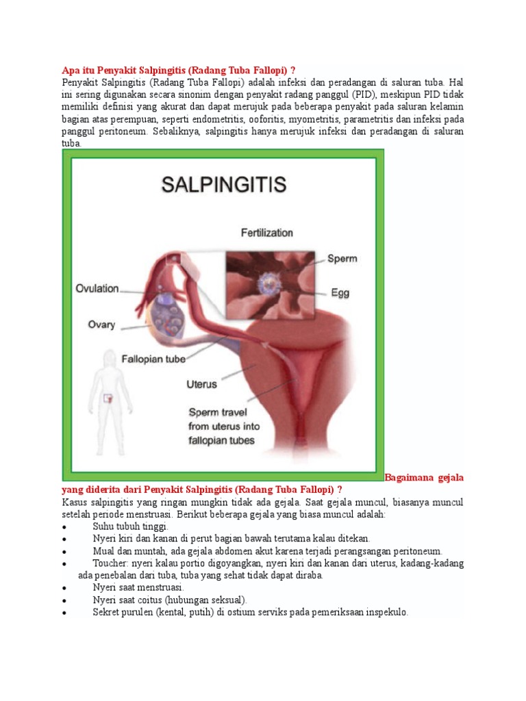Gejala dan Penyebab Salpingitis | PDF | Sains & Matematika