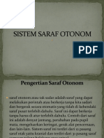 Sistem Saraf Otonom