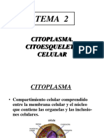 Citoplasma y Citoesqueleto Celular Veterinaria
