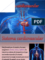 Sistema Cardiovascular