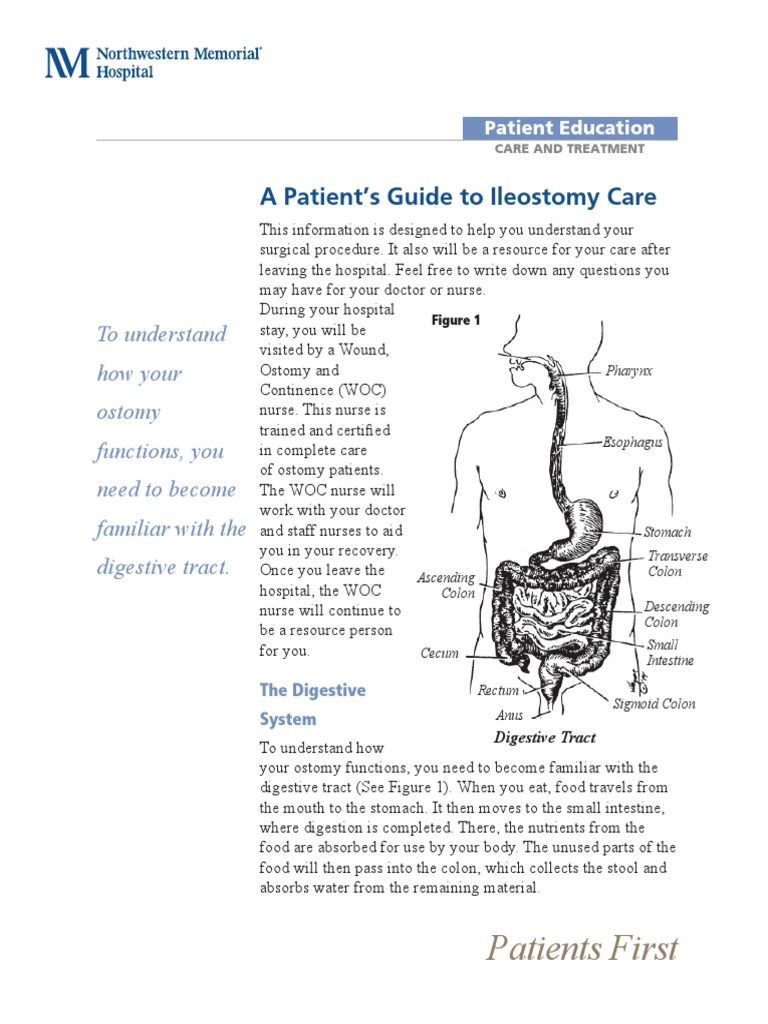 Ileostomy Guide 09 07 Gastroenterology Digestive System