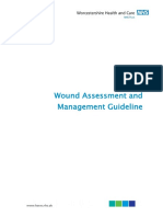 CL-078 Wound Assessment Guideline 2015