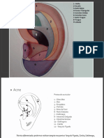 combinaodepontosauricularesnaesttica-131118083530-phpapp02.pptx