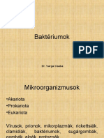 Baktériumok