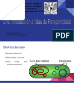 Islas de Patogenicidad Introducciòn 2601 2017-II