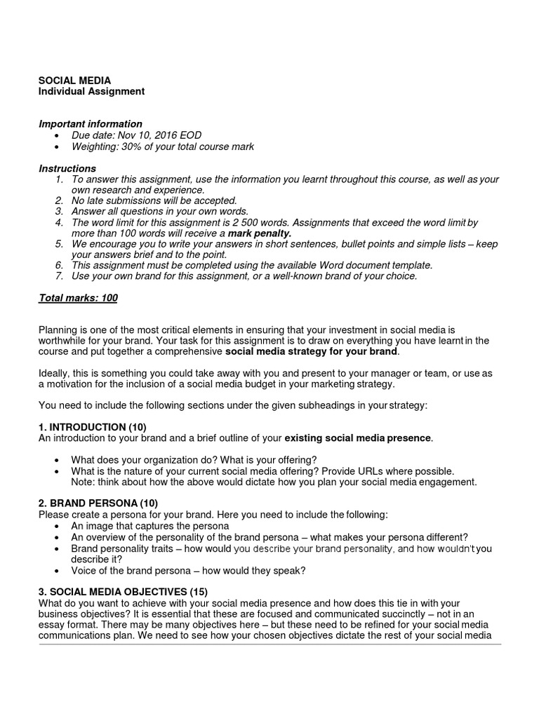 Social Media Strategy Assignment Guide | PDF | Brand | Social Media