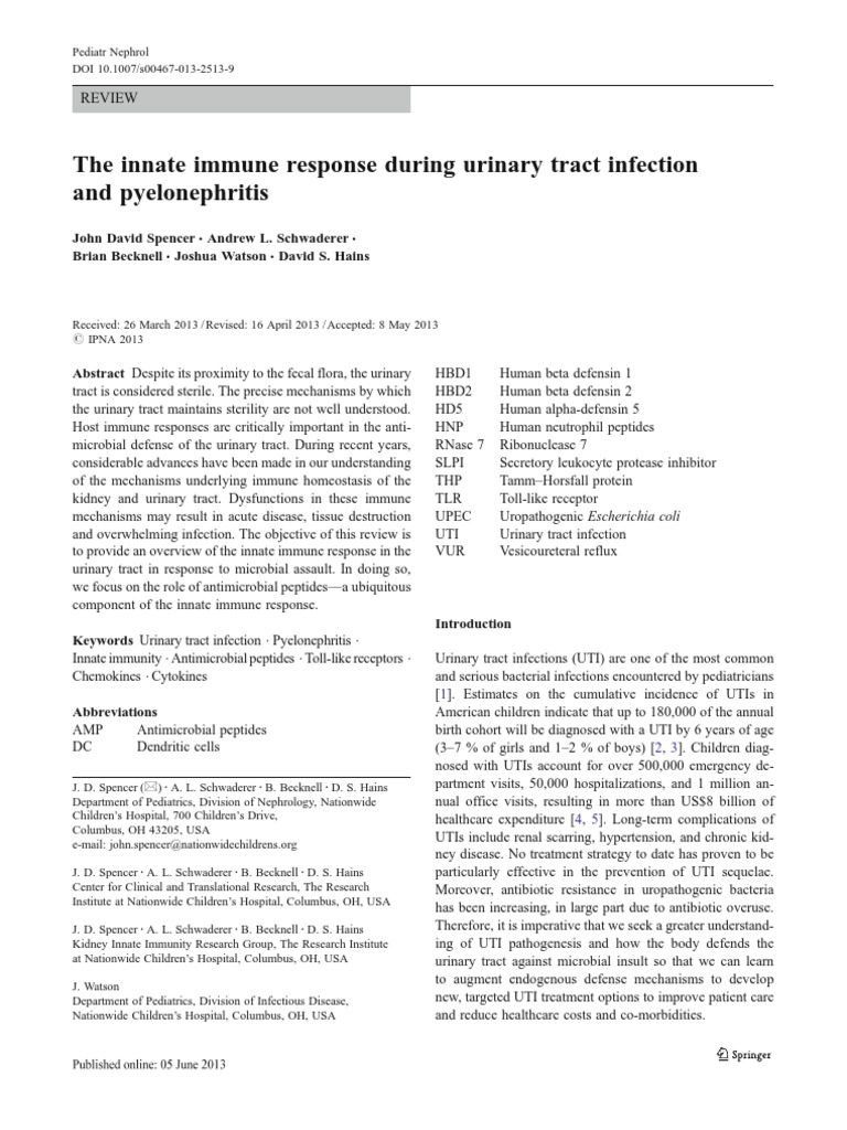 UTI and Innate Immune PDF Innate Immune System Immune System