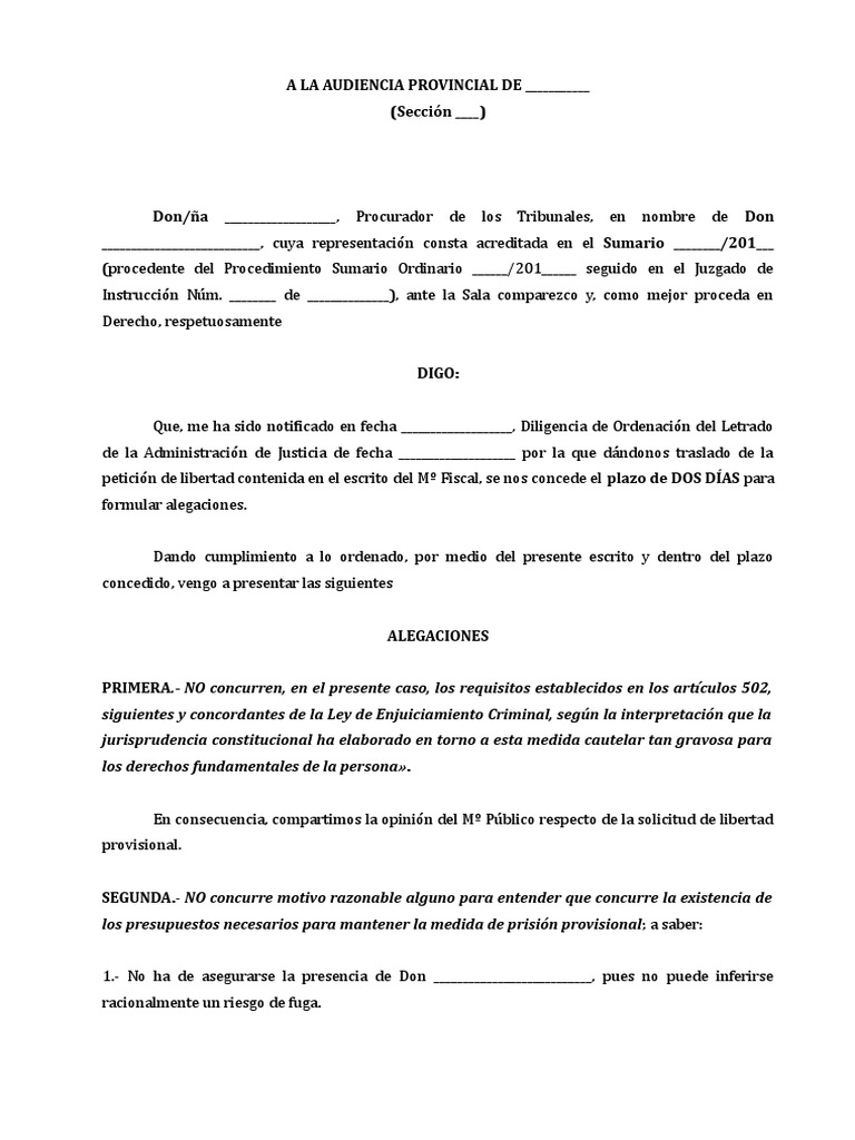 Modelo Alegaciones A Prisión Provisional | PDF | Derecho Constitucional |  Fianza