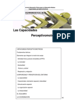 Perceptivomotrices.pdf