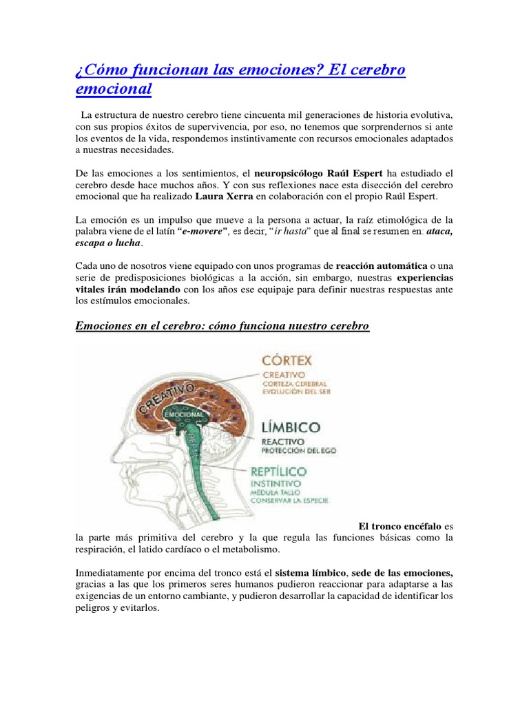 Cómo Funcionan Las Emociones | PDF | Sistema límbico | Neocortex