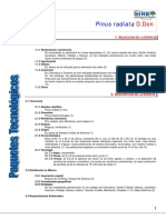 982pinus Radiata PDF