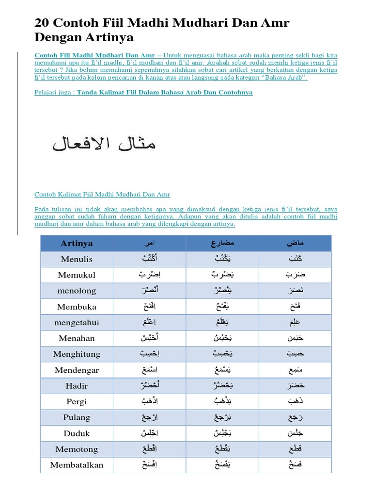 20 Contoh Fiil Madhi Mudhari Dan Amr Dengan Artinya Pdf