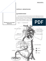 Apunte Curso Imedba Residencias Medicas