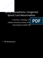 Spinal Dysraphisms-Congenital Spinal Cord Abnormalities