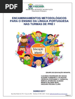 1 Encaminhamentos Pré