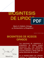 biosintesisdelipidos-101104061110-phpapp02.pptx