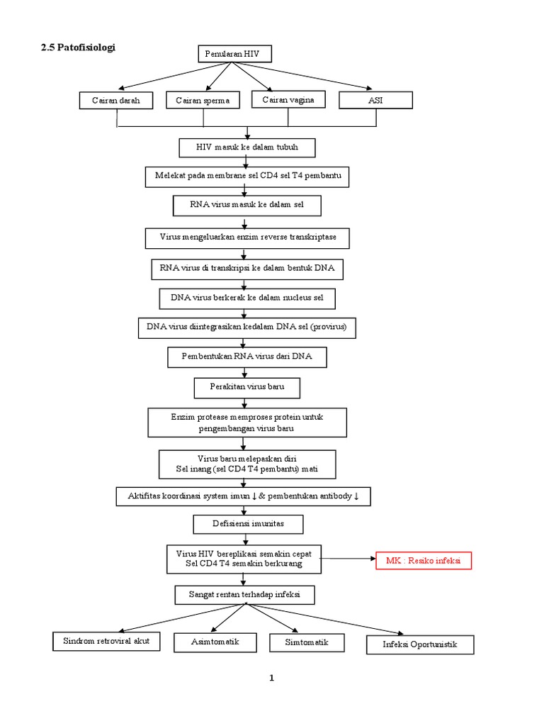 Patofisiologi HIV AIDs