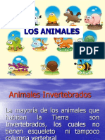 Animales INVERTEBRADOS