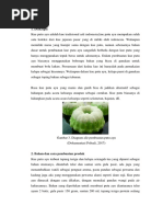 Download Kue Putu Ayu by ErintikaDinnur SN361697945 doc pdf