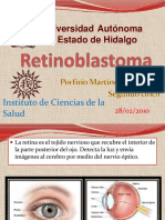 retinoblastoma-100228185627-phpapp01