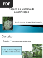 1 aula - Noções do Sistema de Classificação.pdf