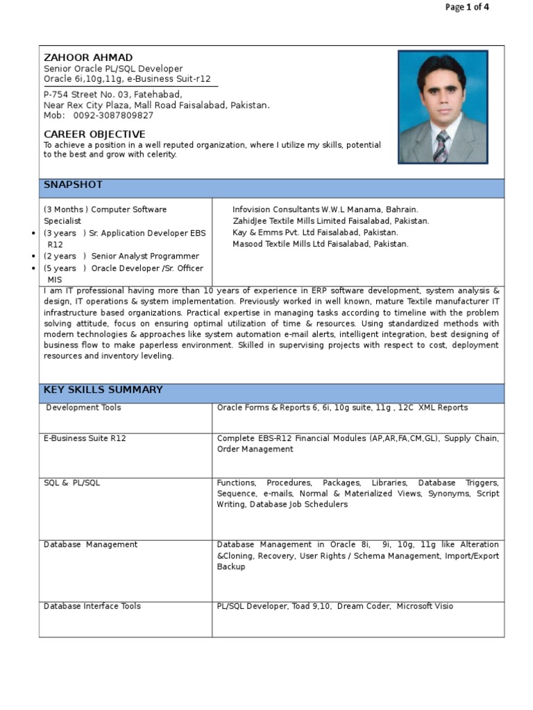 Senior Oracle PL/SQL Developer Resume | PDF | Oracle Database | Programmer