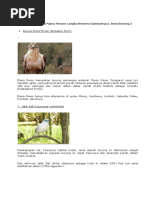 Download Inilah Daftar Nama Nama Hewan Langka Beserta Gambarnya by thimoty SN361704522 doc pdf