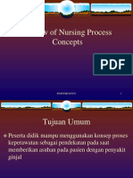 Review of Nurssing Process 2011 1