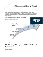 The Strategic Management Maturity Model Assessment
