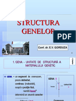 curs 3 MG structura genei oct 2010.ppt