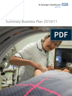 Summary Business Plan 2010 - 2011