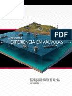 valve-expertise-spanish.pdf