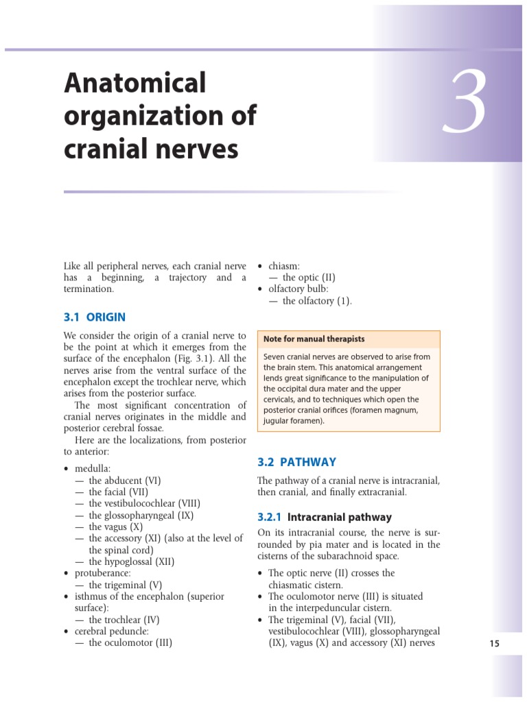 Chapter 3 Anatomical Organization of Cranial Nerves 2009 Manual Therapy