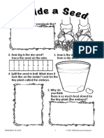 Seed Lesson 1 Documents