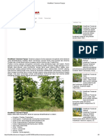 Klasifikasi Tanaman Pepaya PDF