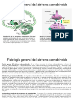 Fisiologia General Sistema Cannabinoide